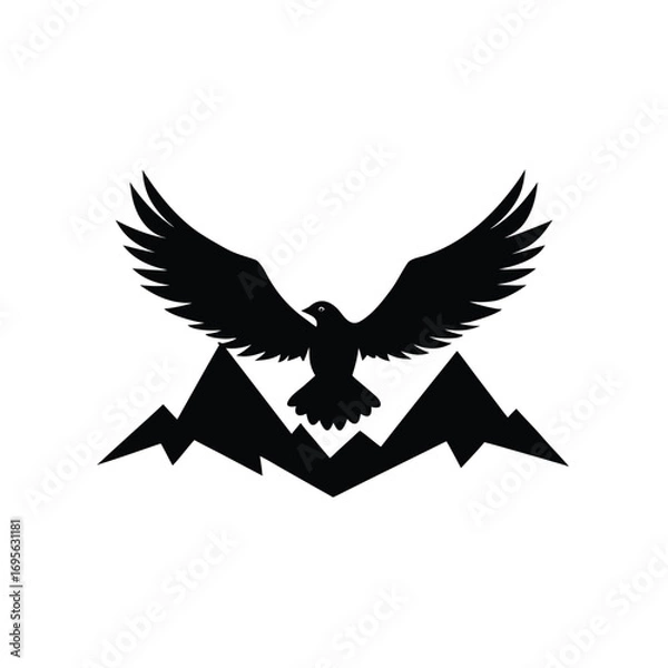 Fototapeta eagle in flight