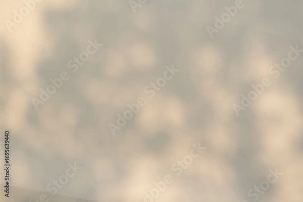 Obraz 自然光が作るやわらかな影のテクスチャ