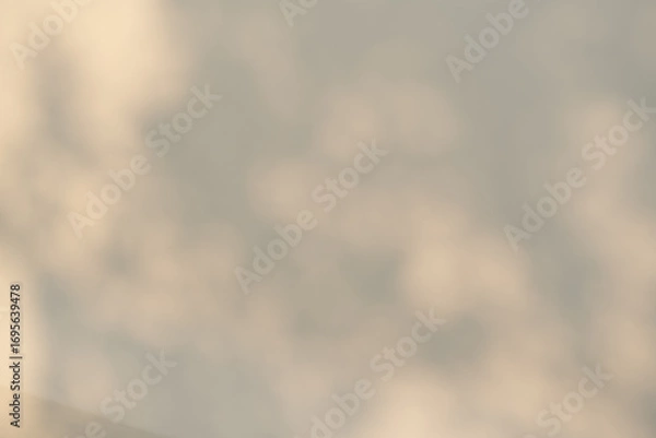 Obraz 自然光が作るやわらかな影のテクスチャ