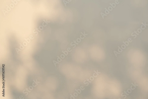 Obraz 自然光が作るやわらかな影のテクスチャ