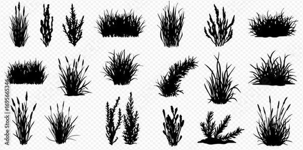 Fototapeta A diverse collection of black grass, bush, and plant silhouettes in various shapes and sizes, isolated on a transparent background.