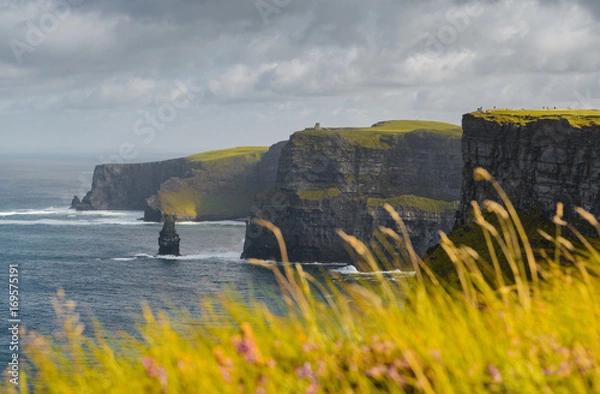 Obraz cliffs of moher