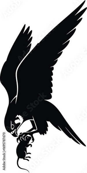Fototapeta Silhouette of a falcon catching a mouse bird of prey hunting its victim in black and vector illustration