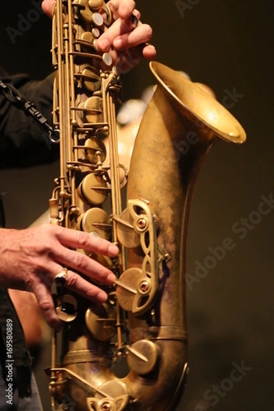 Obraz saxo
