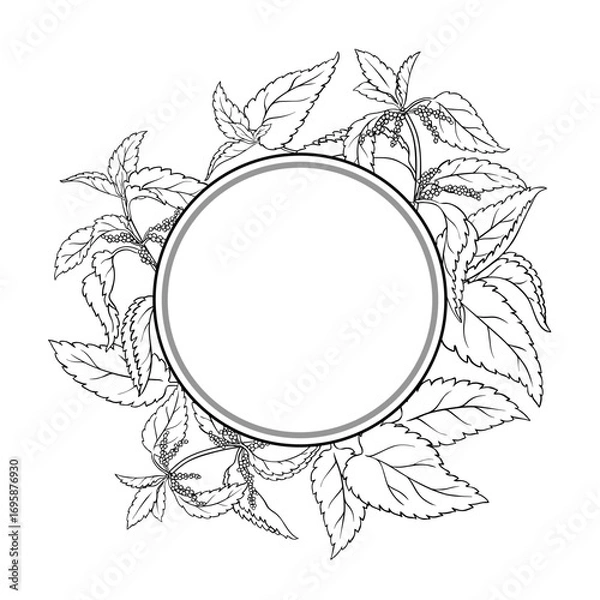 Fototapeta Nettle Plant with Flowers and Leaves Outline Round Frame. Ingredient for cosmetics, health care, alternative medicine. Vector isolated for design or decoration.