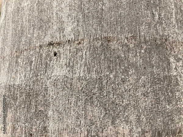 Fototapeta Close up Palm Tree Texture: Capturing the intricate surface of a mature palm tree trunk, showcasing a rugged and natural texture.