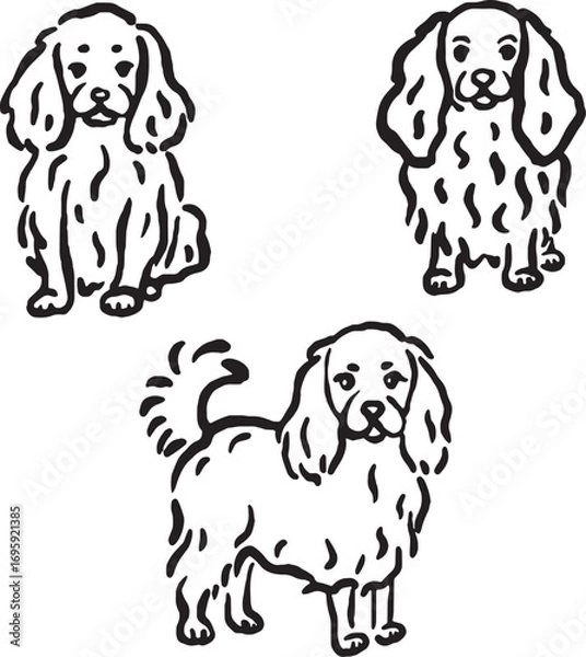 Obraz Hand-drawn whimsical fluffy dogs.