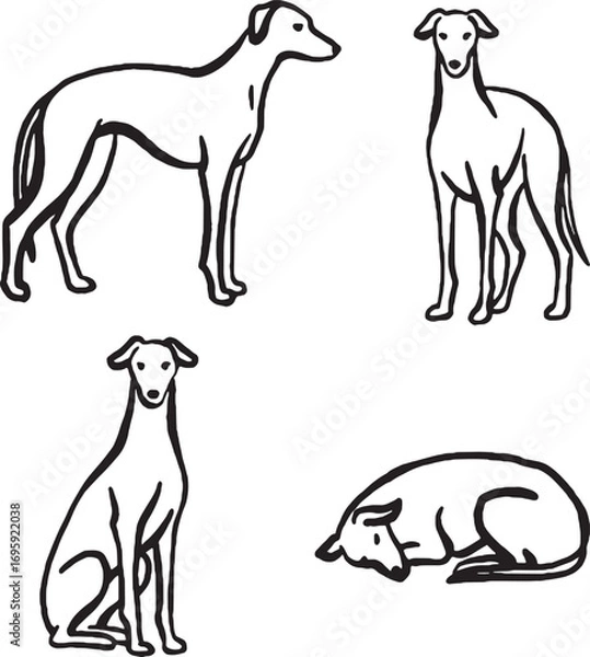 Obraz Hand-drawn whimsicall Sighthound dogs.