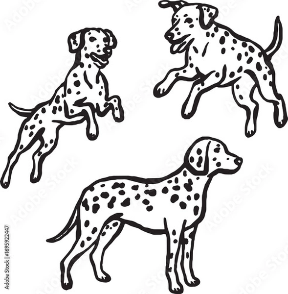 Obraz Hand-drawn whimsical Dolmatian dogs.