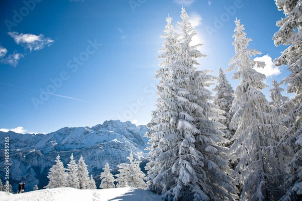 Obraz winter landscape #2