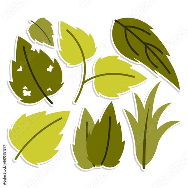 Obraz Home plant cartoon style. potted plant isolated on white