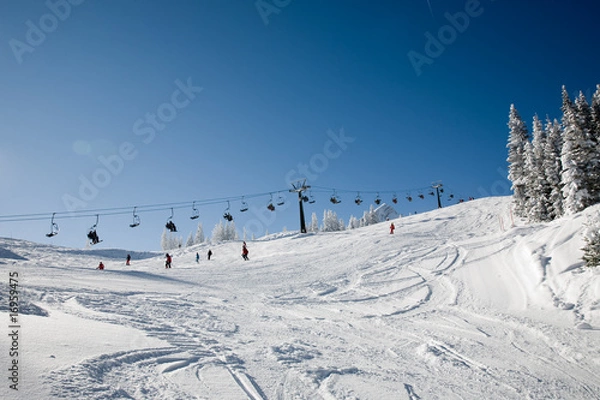 Obraz alpine ski #1