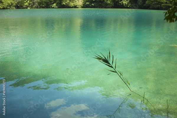 Obraz Plitvice lakes