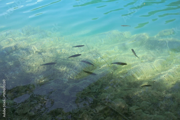 Obraz Plitvice lakes