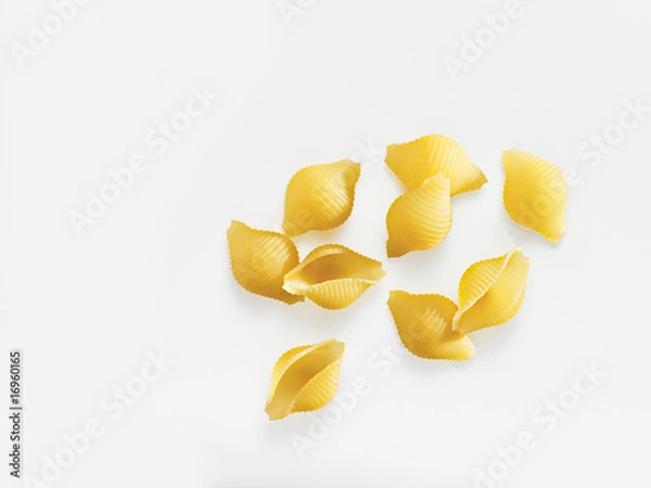 Obraz Conchiglie , Muschelnudeln