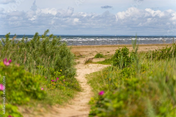 Fototapeta A Scenic Pathway Leading to the Beach Adorned with Beautiful and Vibrant Wildflowers