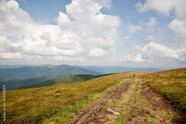 Obraz Carpathian Mountains #2
