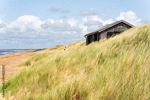 Fototapeta Experience a Serene Beachside Retreat Skillfully Nestled Amidst Lush Dune Grass and Scenic Views