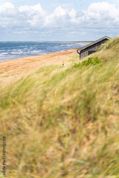 Fototapeta Experience a Serene Beachside Retreat Skillfully Nestled Amidst Lush Dune Grass and Scenic Views