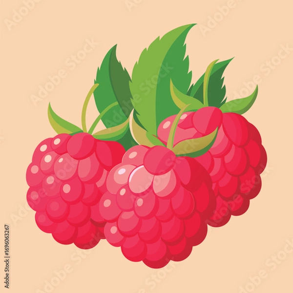 Fototapeta Vector illustration of a Fresh raspberries with leaves.