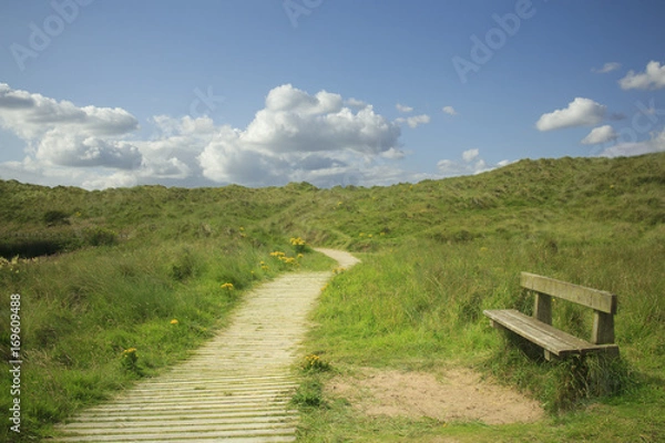 Obraz A footpath in North ireland