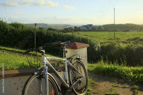 Obraz A bicycle placed at the garden 