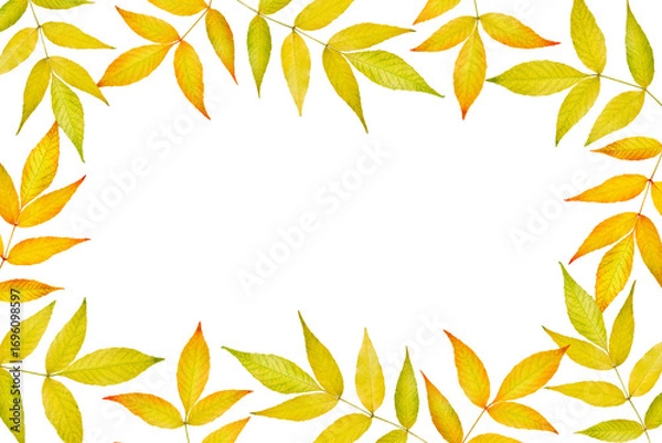 Fototapeta Autumn leaves frame isolated on white background. Design element for creating autumn arrangements, frames, collages, invitations, discounts, sales.
