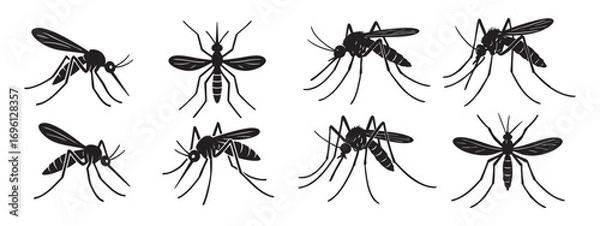 Fototapeta A set of black-and-white contour drawings of mosquitoes.
