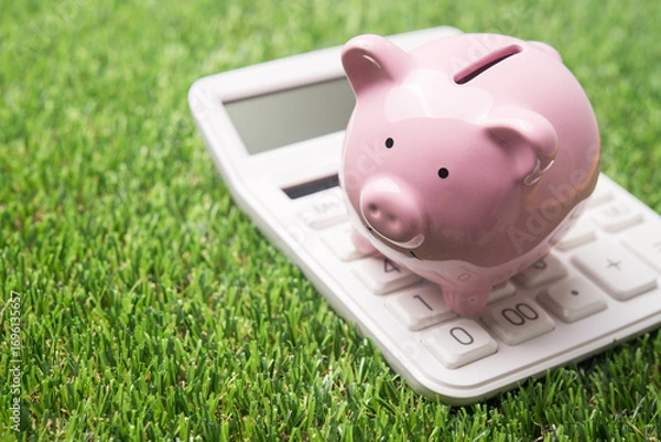 Obraz Pink piggy bank and calculator on green grass background. Personal financial, savings management, individual retirement account (IRA), save money for education, investment and other expenses concept.
