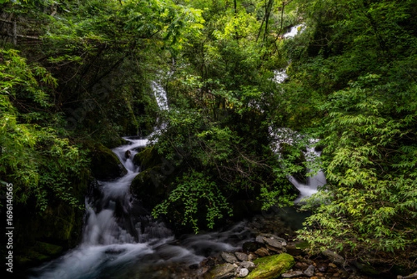 Obraz small waterfall in the forest