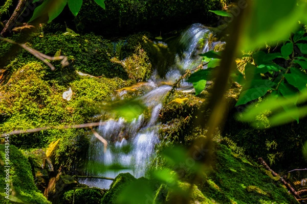 Fototapeta small waterfall in the forest