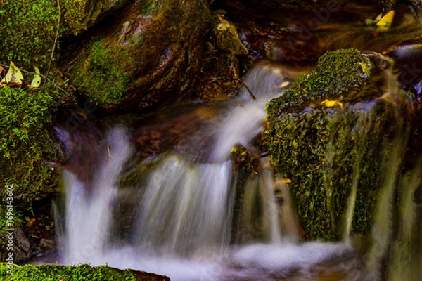 Obraz waterfall in the forest