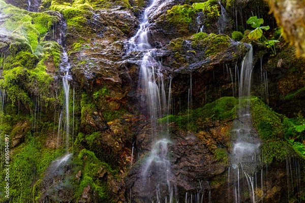 Fototapeta waterfall in the forest