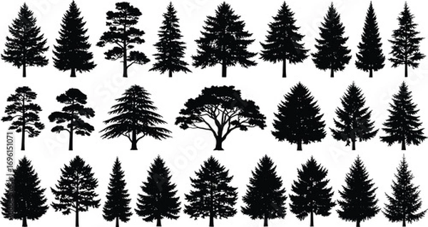 Fototapeta tree silhouette,forest icon,nature shape,black tree,pine tree,oak silhouette,vector design,leafless tree,conifer shape,graphic tree,isolated tree,stylized tree,tree graphic,tree icon,tree vector