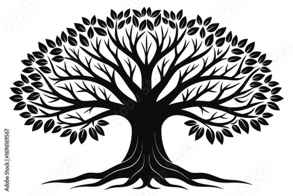 Fototapeta Vector illustration of a tree silhouette with branches and leaves