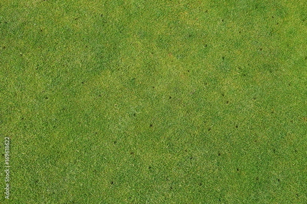 Obraz Aerated putting green on golf course - maintenance background
