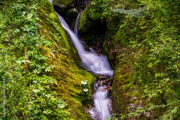 Obraz waterfall in the forest