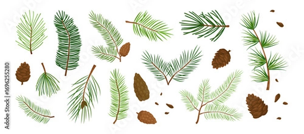 Fototapeta Fir branch and pine cone, Christmas tree, winter needle plant. Cartoon Xmas spruce evergreen, foliage twig green set isolated on white background. Forest coniferous color icon. Vector illustration