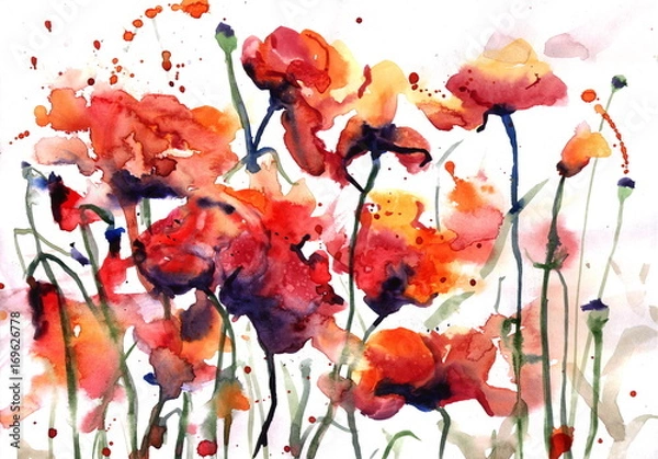 Fototapeta Рисунок акварелью по сырому "Яркие красные маки"