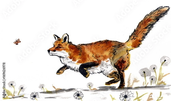 Fototapeta Рисунок акварель "Лиса бежит за бабочкой"