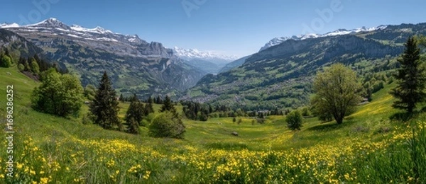 Fototapeta Panoramic vista of a verdant valley with flowering meadows and snow-capped mountains under a clear blue sky in the Swiss Alps