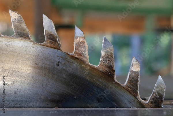 Fototapeta Rusty circular  saw blade teeth close up view.