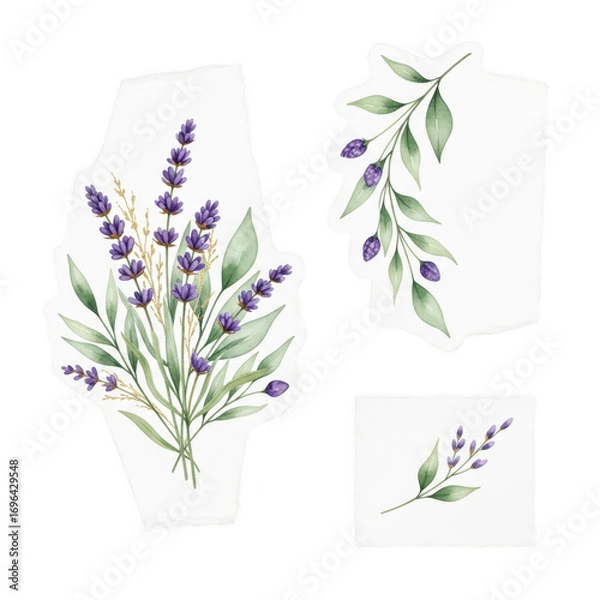 Obraz Watercolor lavender sprigs and leaves isolated on transparent background