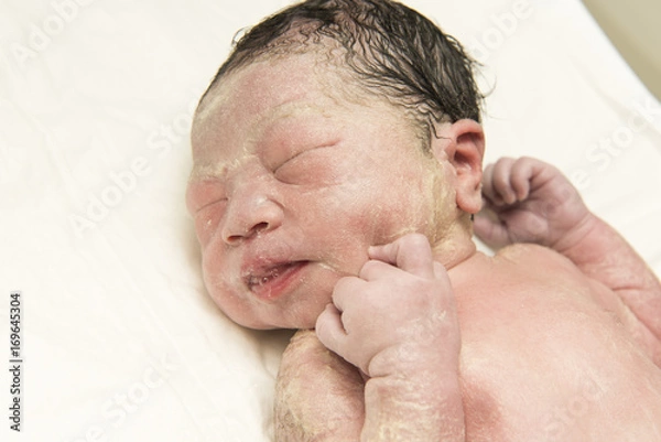 Obraz 出産直後の赤ちゃん