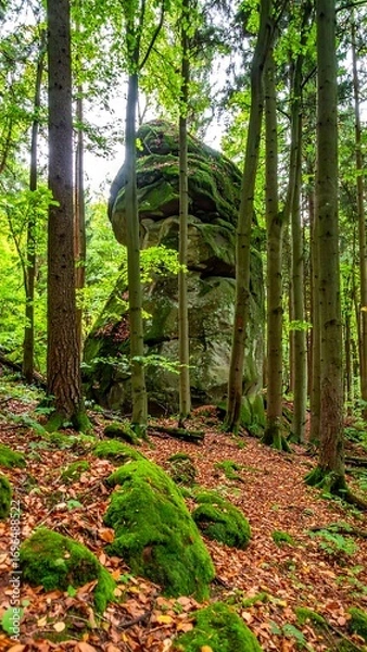 Fototapeta A large, moss-covered rock formation stands tall amidst a lush forest of tall trees, bathed in the soft light of a summer day.