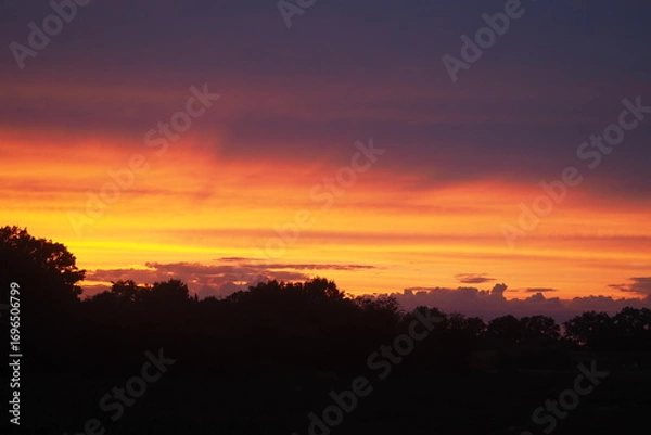 Obraz Zachód słońca nad lasem