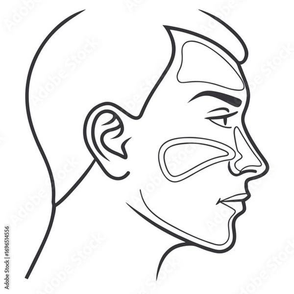 Fototapeta Medical illustration of a human nose with internal sinus passages