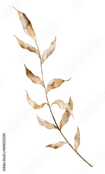 Fototapeta Watercolor branch with fall dried leaves for autumn wedding invitations or greeting cards. Illustration of twig on isolated background for woodland themes and rustic decorations