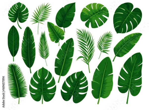 Fototapeta Set of detailed palm tree vectors with large and small tropical leaves, ideal for design assets, eco-friendly themes, summer patterns, and botanical illustrations in vibrant green.
