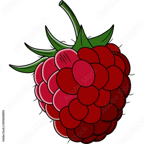 Obraz raspberry with leaves